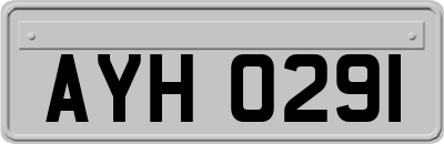 AYH0291