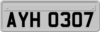 AYH0307