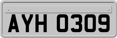 AYH0309