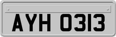 AYH0313