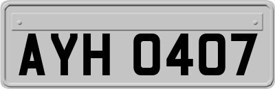 AYH0407