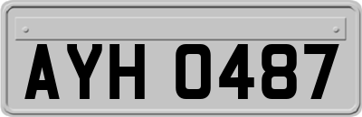 AYH0487