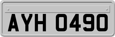 AYH0490