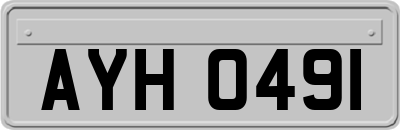 AYH0491