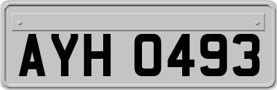 AYH0493