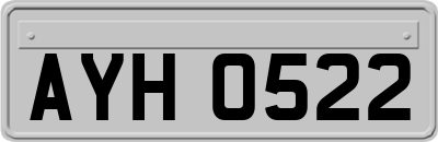AYH0522