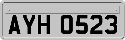 AYH0523