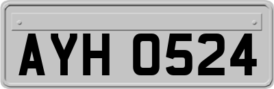 AYH0524
