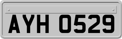 AYH0529