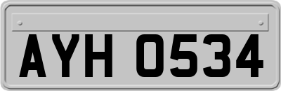 AYH0534