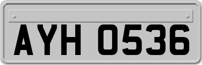 AYH0536