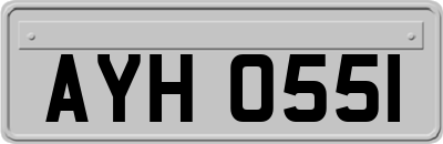 AYH0551