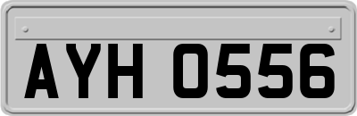 AYH0556