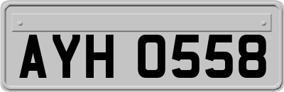 AYH0558
