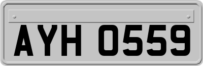 AYH0559