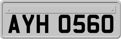 AYH0560