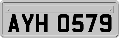 AYH0579