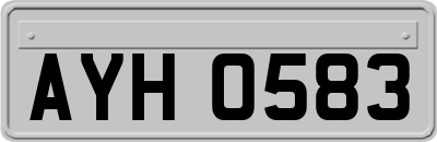 AYH0583