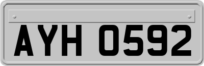AYH0592