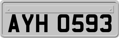 AYH0593