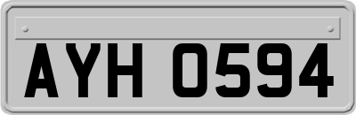 AYH0594