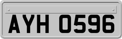 AYH0596