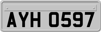 AYH0597
