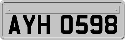 AYH0598