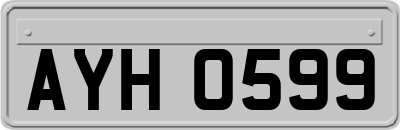 AYH0599