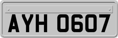 AYH0607