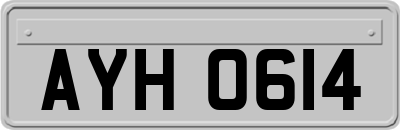 AYH0614