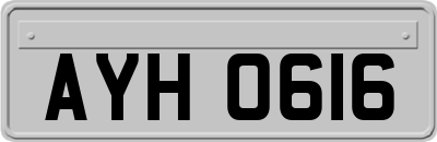AYH0616