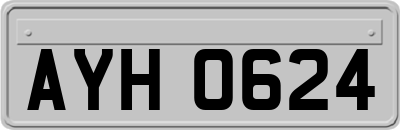 AYH0624