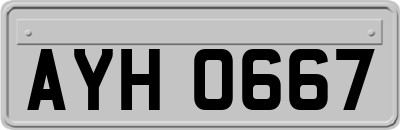 AYH0667