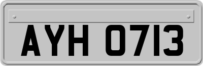 AYH0713