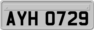 AYH0729