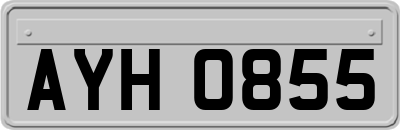AYH0855