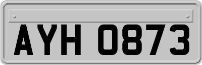 AYH0873
