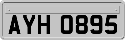 AYH0895