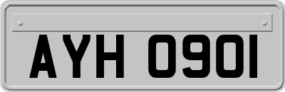 AYH0901