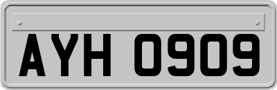 AYH0909
