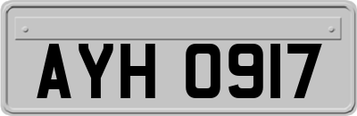 AYH0917