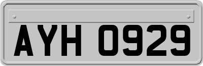 AYH0929