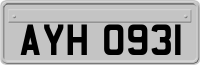 AYH0931