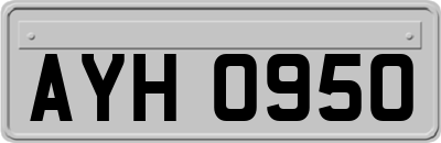 AYH0950
