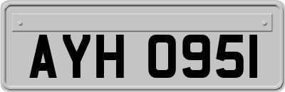 AYH0951