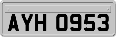 AYH0953