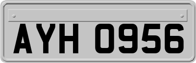 AYH0956