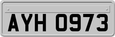 AYH0973