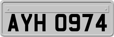 AYH0974